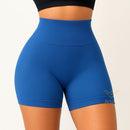 Shorts Femininos de Poliamida Canelada para Academia e Fitness com Zero Transparência e Elasticidade para Treino
